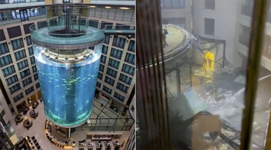 A Berlino esplode un enorme acquario da 1500 pesci tropicali