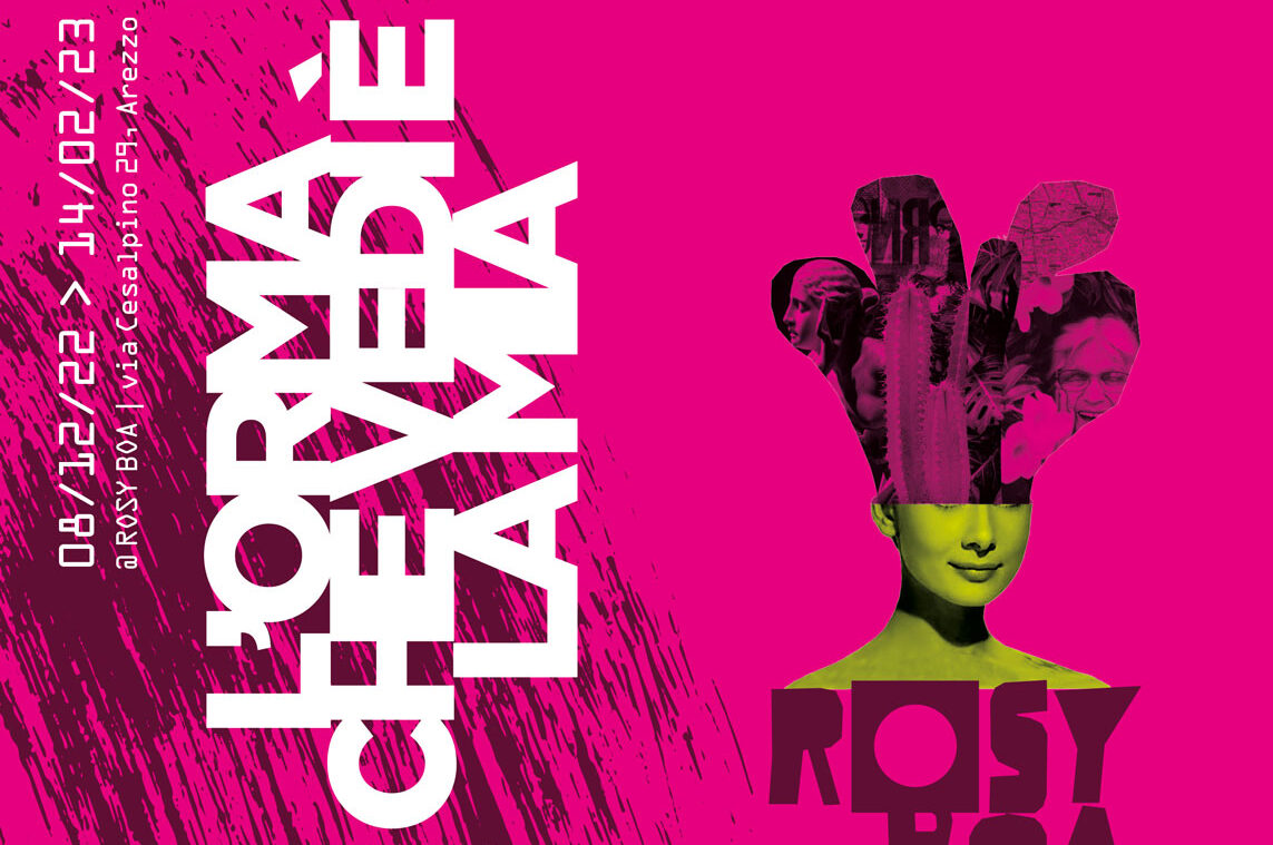“L’orma che vedi è la mia”: inaugurazione della mostra al centro d’arte Rosy Boa