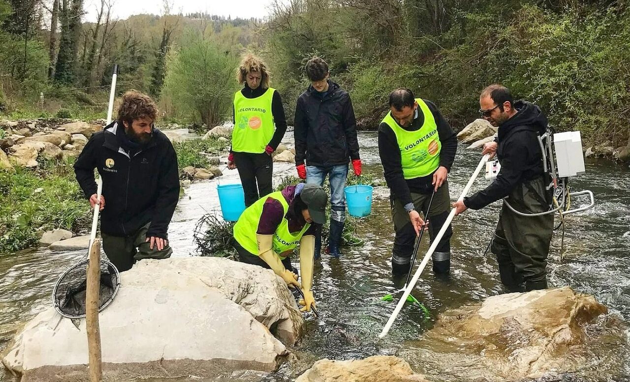 “Tutti al Parco!”: si cercano 4 giovani per un anno di servizio civile nelle Foreste Casentinesi