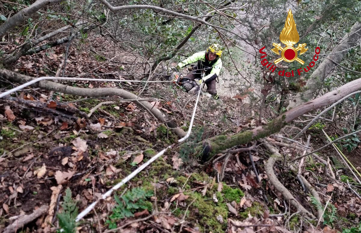 I Vigili del Fuoco soccorrono un cane in zona impervia nel comune di Capolona