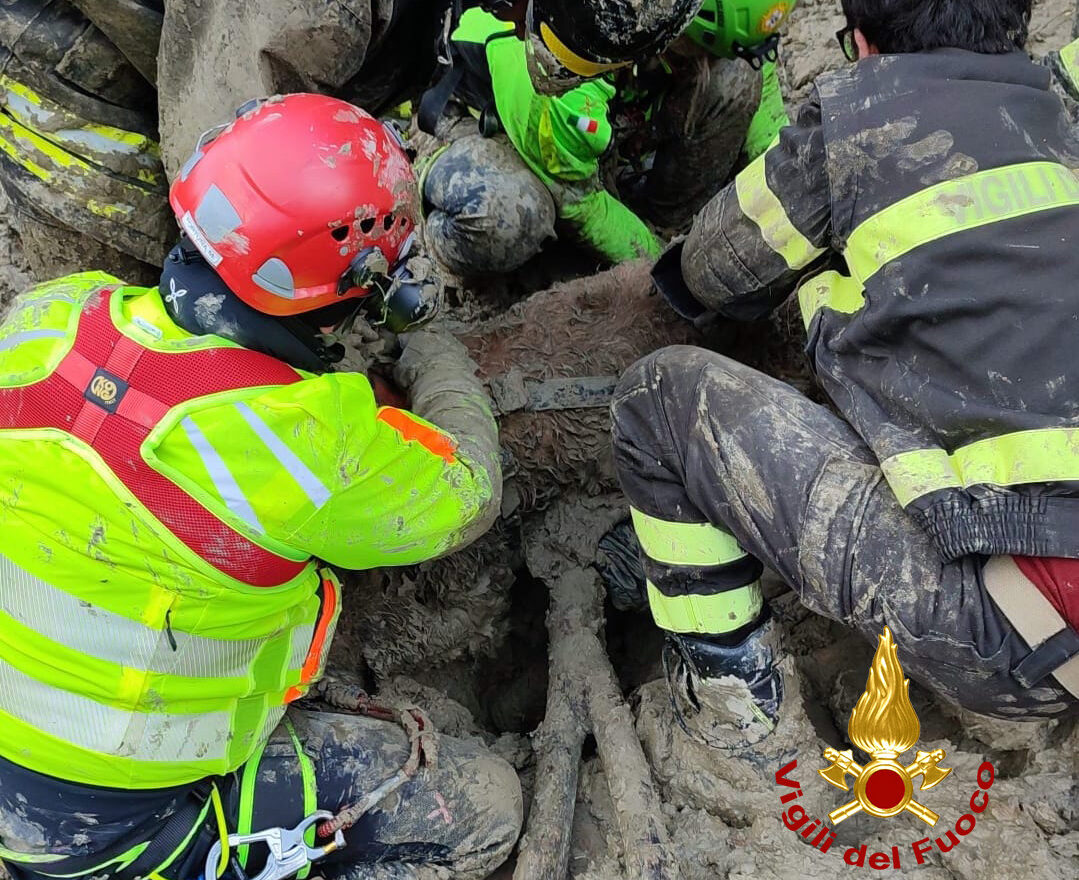 Donna intrappolata con il suo cane in una frana fangosa, salvata dai vigili del fuoco