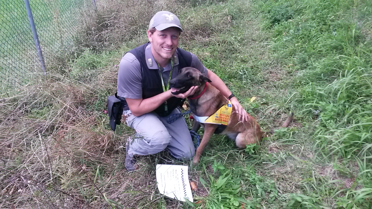 Ci ha lasciato Puma, primo cane antiveleno del Parco Nazionale delle Foreste Casentinesi