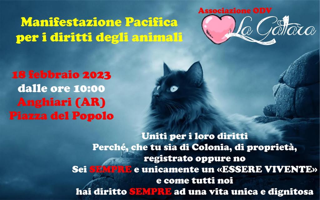 Una ventina di gatti rischiano la strada: ad Anghiari la manifestazione dell’associazione “La Gattara”