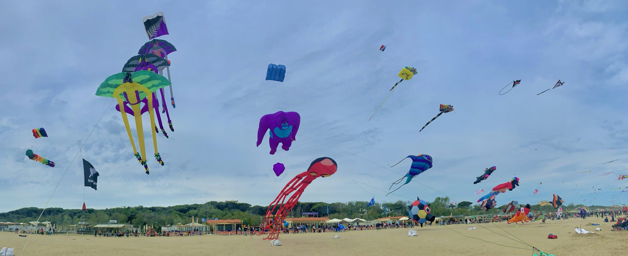 Il Festival Internazionale dell’Aquilone di Cervia – FOTORACCONTO