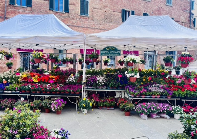 La “Fiera del Fiore” di Foiano della Chiana supera i propri record