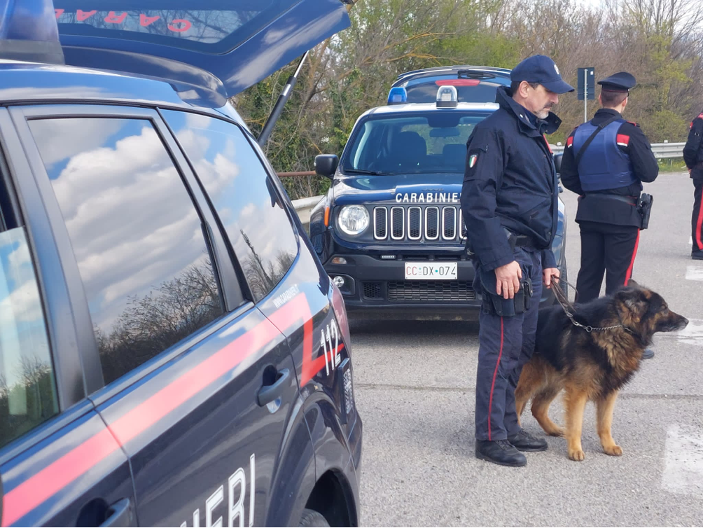 I Carabinieri di Arezzo in azione per la repressione del consumo e spaccio di stupefacenti nelle aree maggiormente degradate del comprensorio. Un arresto e due denunce