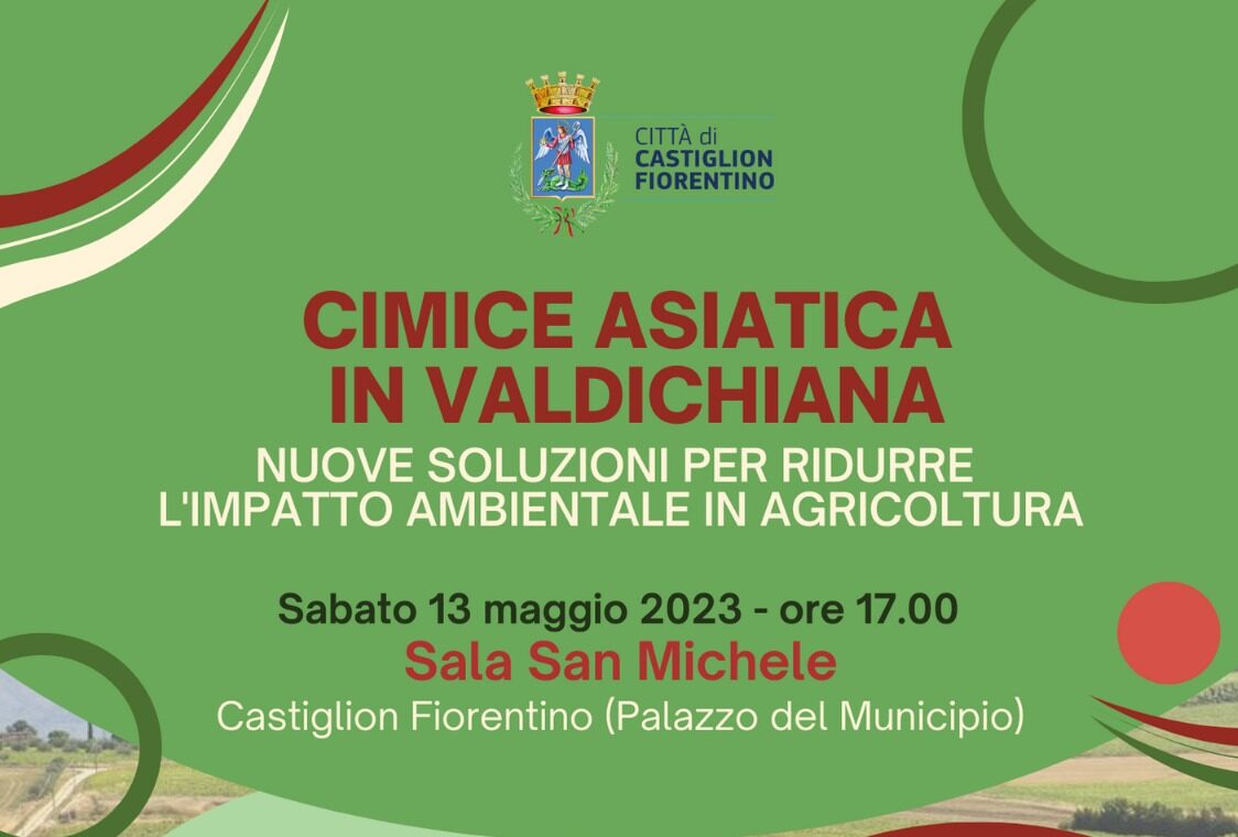 Convegno sulla cimice asiatica a Castiglion Fiorentino