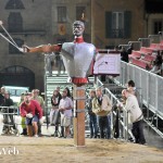 giostra saracino